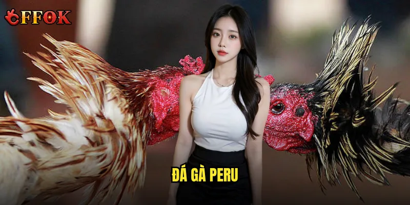 đá gà Peru